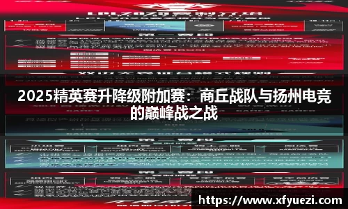 2025精英赛升降级附加赛：商丘战队与扬州电竞的巅峰战之战