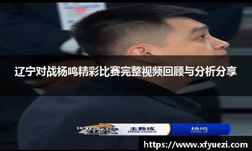 辽宁对战杨鸣精彩比赛完整视频回顾与分析分享